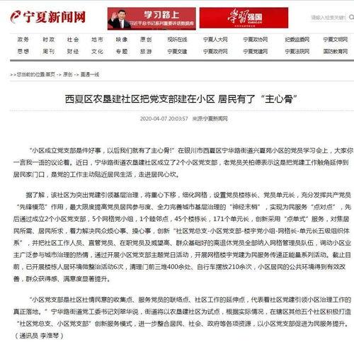 在线观看西夏,穿越千年古国的奇幻之旅  第3张